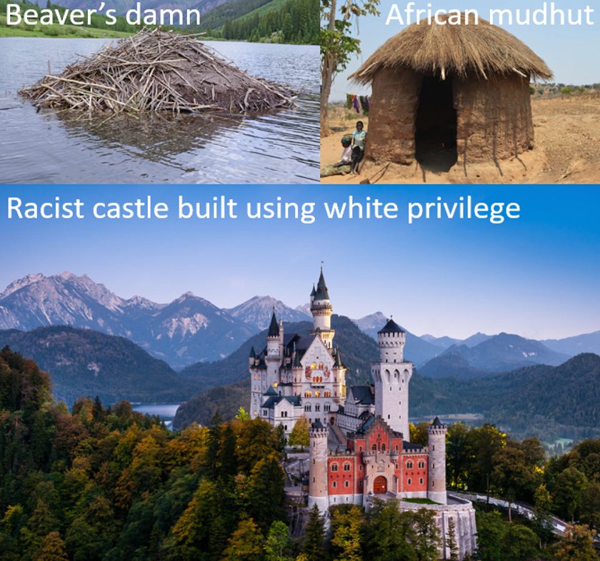 Excellent Meme: Racist White men build awesome Castles!