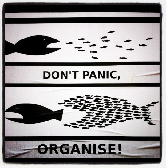 Excellent meme: Whites: Don’t Panic; ORGANIZE! – Mr Bonds improved Jewish version!