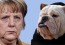 Hillarious: Daily Stormer calls Merkel: Dog-Faced Whore  – The Polish Communist Jewess who rules Germany