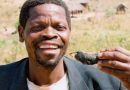 Video: Blacks eat rats for Xmas: Zimbabwe 2006