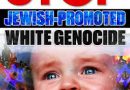 Pic: White Genocide meme: Sponsored by Jews, paid for by your parents…