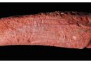 World’s oldest Crayon: Archaeologists discover 10,000-year-old drawing tool used by whites