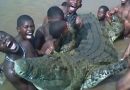 S.Africa: 3 Blacks die after raping a crocodile on the instructions of a WitchDoctor!