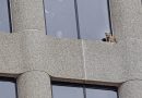 Incredible Nature: How a Daredevil Raccoon Pulled Off a Terrifying 23-Story Climb!