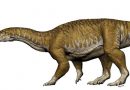 New colossal dinosaur size of DOUBLE DECKER bus discovered – 30 million years older than expected!