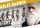 What Charles Darwin believed about the Races of Man: No such thing as Equality!