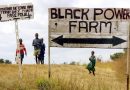 Rhodesia/Zimbabwe: How Mugabe destroyed a White family & took their farm & their house