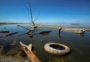 Video: California’s ecological disaster: The Salton Sea