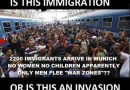 Pic: Meme: White Immigrants Not allowed, Non-White Immigrants (Invaders actually) allowed!