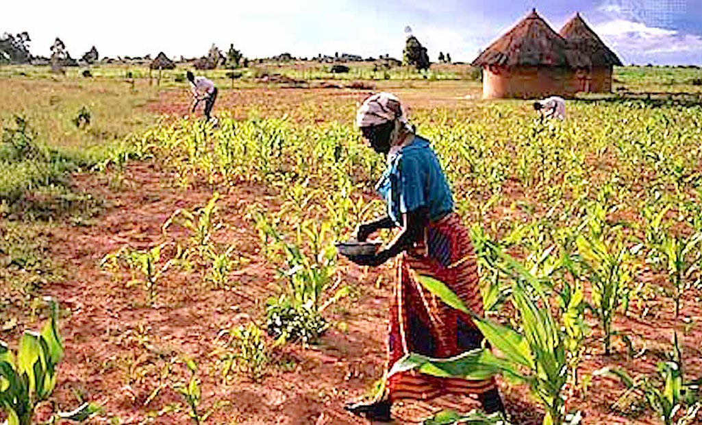 Video & Audio: Rhodesia to Zimbabwe: Do Blacks cause massive climate damage?