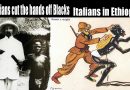 Video & Audio: European Colonialism: How many Blacks did Whites kill? The MASSIVE Black Population EXPLOSION!