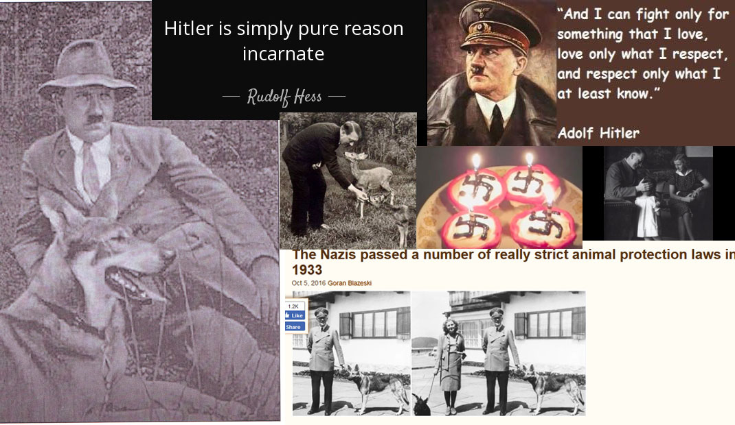 Video & Audio: The Mystery of Hitler: The Enigma, the Unknown Man...